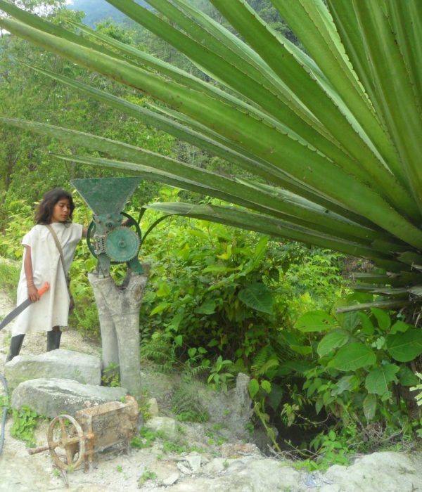 WhatsApp Image 2024-10-09 at 1.18.52 PM (2)